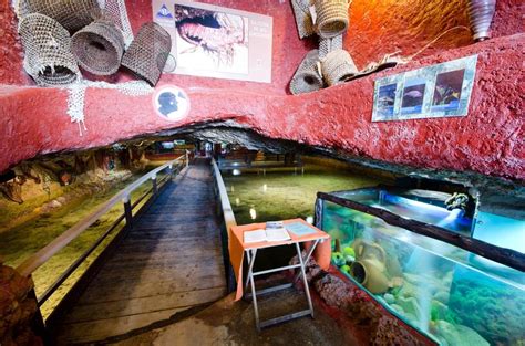 aquarium ibiza|Aquarium Cap Blanc.